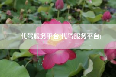 代驾服务平台(代驾服务平台)