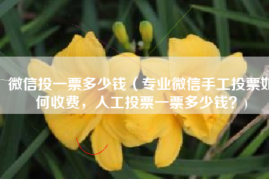 微信投一票多少钱（专业微信手工投票如何收费，人工投票一票多少钱？)