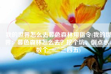 我的世界怎么去暮色森林用指令(我的世界：暮色森林怎么去？挖个坑，倒点水，数个一二三四五)