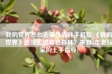 我的世界怎么去暮色森林手机版(《我的世界》还没去过暮色森林？来自3年老玩家的上手指导)