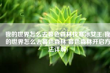 我的世界怎么去暮色森林找寒冰女王(我的世界怎么去暮色森林 暮色森林开启方法详解)
