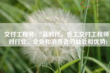 交付工程师(“蓝时代，施工交付工程师”对行业、企业和消费者的益处和优势)