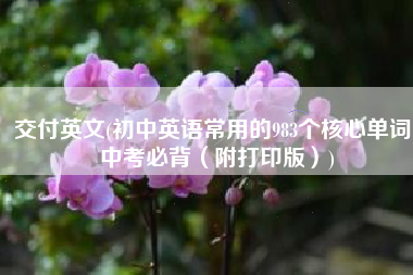 交付英文(初中英语常用的983个核心单词，中考必背（附打印版）)