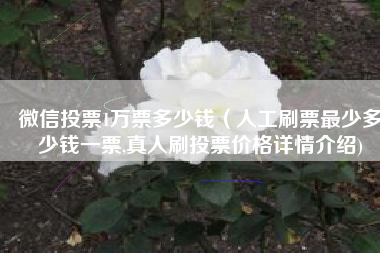 微信投票1万票多少钱（人工刷票最少多少钱一票,真人刷投票价格详情介绍)