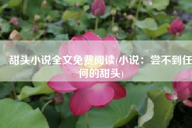 甜头小说全文免费阅读(小说：尝不到任何的甜头)
