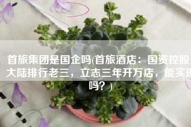 首旅集团是国企吗(首旅酒店：国资控股，大陆排行老三，立志三年开万店，能实现吗？)