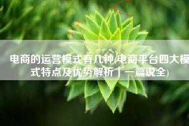 电商的运营模式有几种(电商平台四大模式特点及优势解析｜一篇说全)