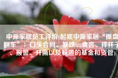 中源家居员工评价(起底中源家居“操盘翻车”：口头合同、暴跌、食言、摔杯子、报警、开撕以及躲匿的基金和资管)