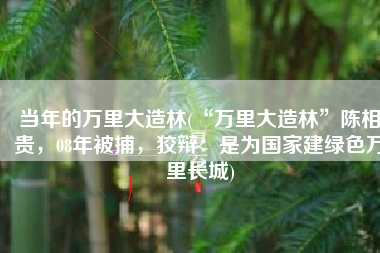 当年的万里大造林(“万里大造林”陈相贵，08年被捕，狡辩：是为国家建绿色万里长城)