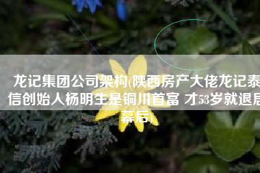 龙记集团公司架构(陕西房产大佬龙记泰信创始人杨明生是铜川首富 才53岁就退居幕后)