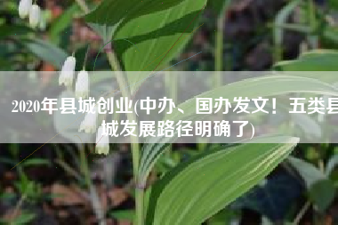 2020年县城创业(中办、国办发文！五类县城发展路径明确了)
