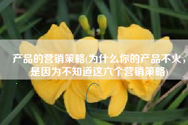 产品的营销策略(为什么你的产品不火，是因为不知道这六个营销策略)