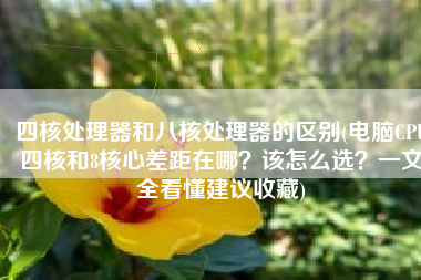 四核处理器和八核处理器的区别(电脑CPU四核和8核心差距在哪？该怎么选？一文全看懂建议收藏)