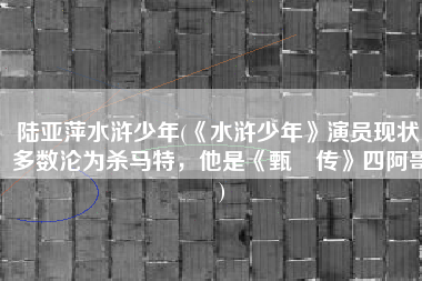 陆亚萍水浒少年(《水浒少年》演员现状，多数沦为杀马特，他是《甄嬛传》四阿哥)