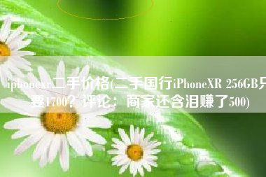 iphonexr二手价格(二手国行iPhoneXR 256GB只要1700？评论：商家还含泪赚了500)