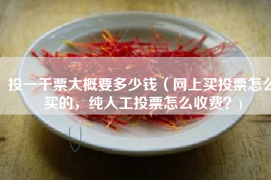 投一千票大概要多少钱（网上买投票怎么买的，纯人工投票怎么收费？)
