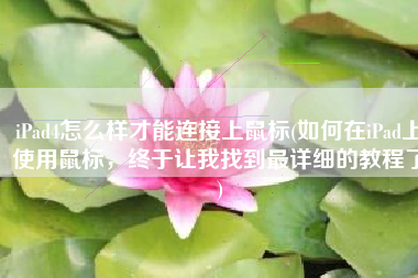 iPad4怎么样才能连接上鼠标(如何在iPad上使用鼠标，终于让我找到最详细的教程了)