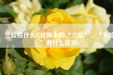 三险指什么?(社保中的“三险”、“五险”有什么区别)