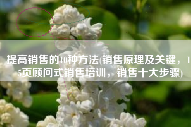 提高销售的10种方法(销售原理及关键，115页顾问式销售培训，销售十大步骤)