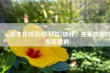 qq医生在线咨询(只花1块钱，在家就能找专家看病)