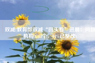 双减(教育部双减“回头看”进展：问题机构3743个，94%已整改)