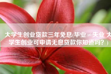 大学生创业贷款三年免息(毕业≠失业 大学生创业可申请无息贷款你知道吗？)