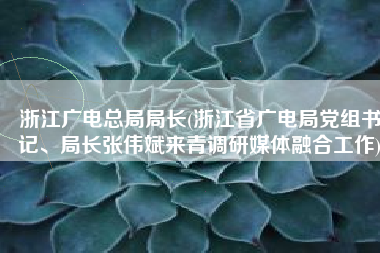 浙江广电总局局长(浙江省广电局党组书记、局长张伟斌来青调研媒体融合工作)