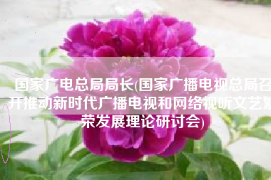 国家广电总局局长(国家广播电视总局召开推动新时代广播电视和网络视听文艺繁荣发展理论研讨会)