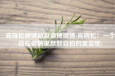 高晓松微博新浪微博微博(高晓松：一个总在微博里默默自拍的美篮纸)