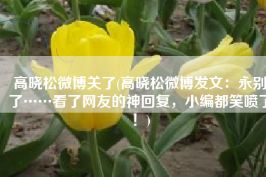 高晓松微博关了(高晓松微博发文：永别了……看了网友的神回复，小编都笑喷了！)
