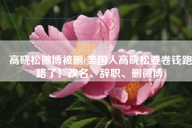 高晓松微博被删(美国人高晓松要卷钱跑路了！改名、辞职、删微博)