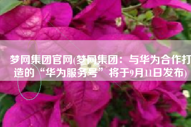 梦网集团官网(梦网集团：与华为合作打造的“华为服务号”将于9月11日发布)