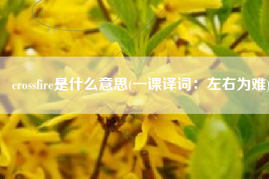 crossfire是什么意思(一课译词：左右为难)