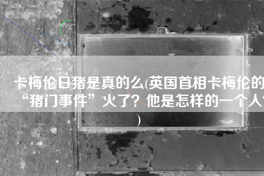 卡梅伦日猪是真的么(英国首相卡梅伦的“猪门事件”火了？他是怎样的一个人？)