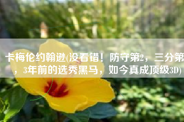 卡梅伦约翰逊(没看错！防守第2，三分第1，3年前的选秀黑马，如今真成顶级3D)