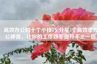 高效办公的十个小技巧(分享5个高效率办公神器，让你的工作效率提升不止一倍)