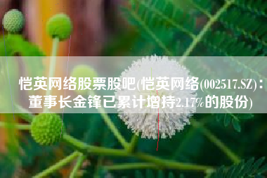 恺英网络股票股吧(恺英网络(002517.SZ)：董事长金锋已累计增持2.17%的股份)