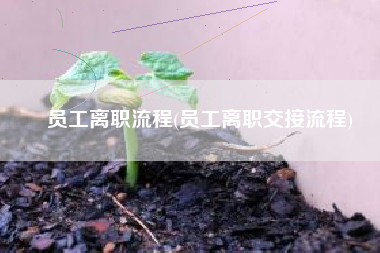 员工离职流程(员工离职交接流程)