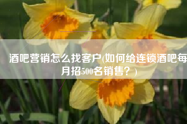 酒吧营销怎么找客户(如何给连锁酒吧每月招500名销售？)