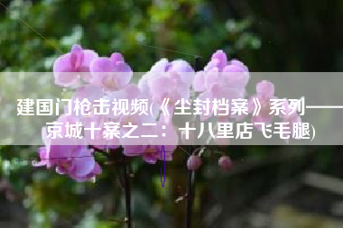 建国门枪击视频(《尘封档案》系列——京城十案之二：十八里店飞毛腿)