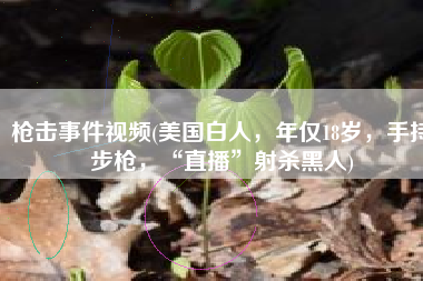 枪击事件视频(美国白人，年仅18岁，手持步枪，“直播”射杀黑人)