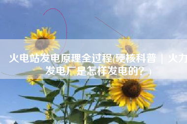 火电站发电原理全过程(硬核科普 | 火力发电厂是怎样发电的？)