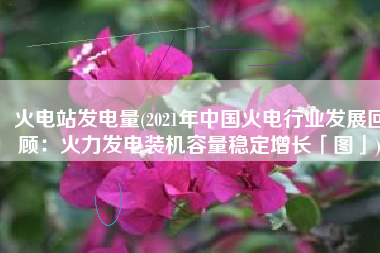 火电站发电量(2021年中国火电行业发展回顾：火力发电装机容量稳定增长「图」)
