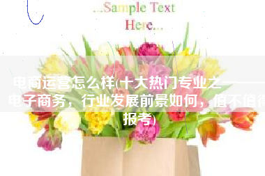 电商运营怎么样(十大热门专业之一——电子商务，行业发展前景如何，值不值得报考)