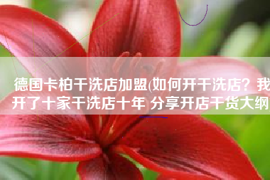德国卡柏干洗店加盟(如何开干洗店？我开了十家干洗店十年 分享开店干货大纲)