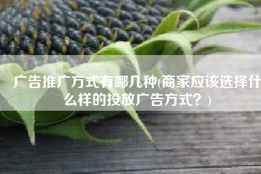 广告推广方式有哪几种(商家应该选择什么样的投放广告方式？)