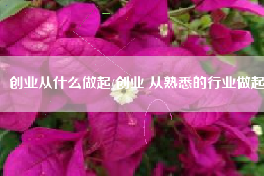 创业从什么做起(创业 从熟悉的行业做起)