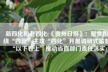 新四化和老四化(《贵州日报》：聚焦围绕“四新”主攻“四化”开展调研式监督“以下看上”推动省直部门责任落实)