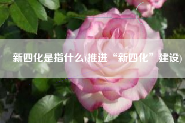 新四化是指什么(推进“新四化”建设)