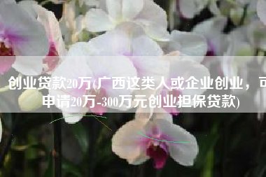 创业贷款20万(广西这类人或企业创业，可申请20万-300万元创业担保贷款)